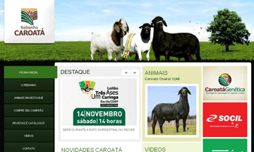 Caroatá